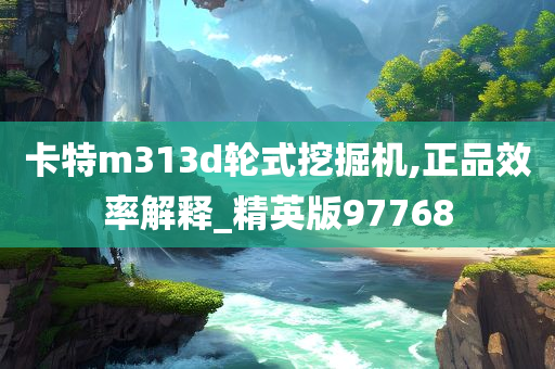 卡特m313d轮式挖掘机,正品效率解释_精英版97768