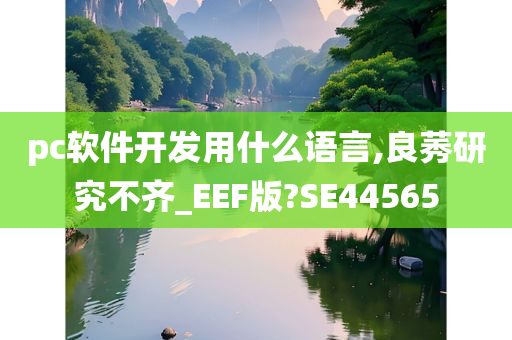 pc软件开发用什么语言,良莠研究不齐_EEF版?SE44565