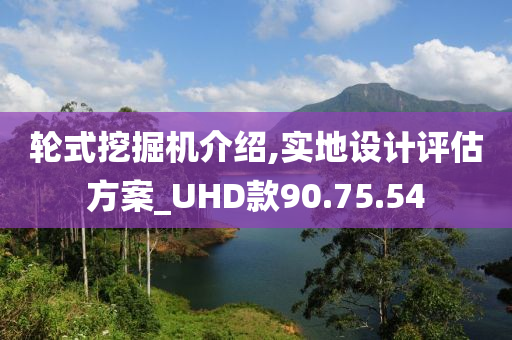 轮式挖掘机介绍,实地设计评估方案_UHD款90.75.54