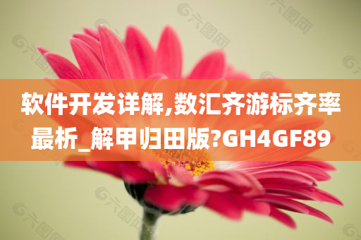 软件开发详解,数汇齐游标齐率最析_解甲归田版?GH4GF89