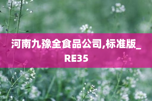 河南九豫全食品公司,标准版_RE35