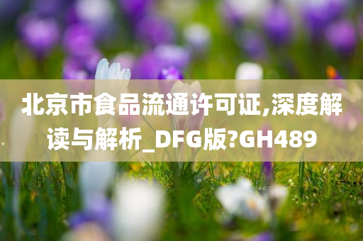 北京市食品流通许可证,深度解读与解析_DFG版?GH489