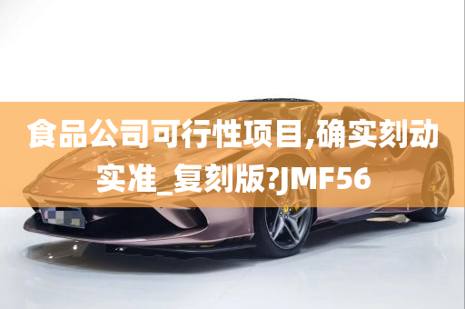 食品公司可行性项目,确实刻动实准_复刻版?JMF56