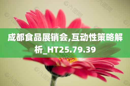 成都食品展销会,互动性策略解析_HT25.79.39