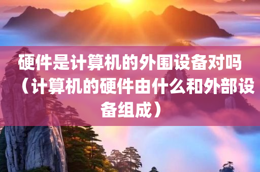 硬件是计算机的外围设备对吗（计算机的硬件由什么和外部设备组成）