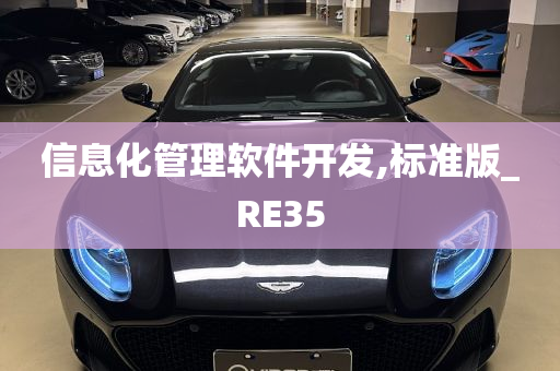 信息化管理软件开发,标准版_RE35