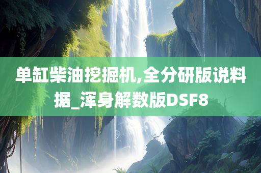 单缸柴油挖掘机,全分研版说料据_浑身解数版DSF8