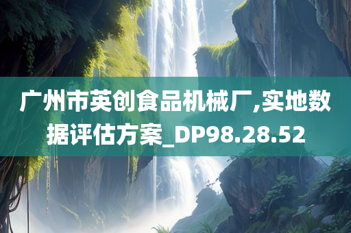 广州市英创食品机械厂,实地数据评估方案_DP98.28.52