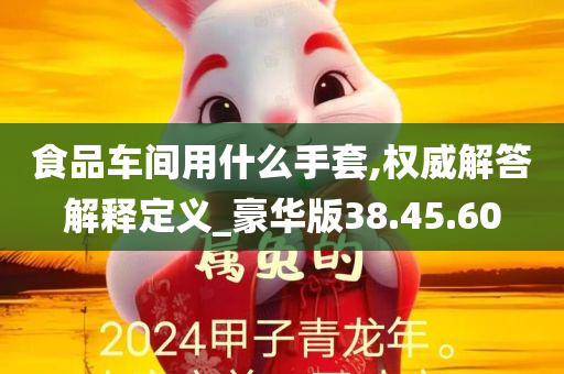 食品车间用什么手套,权威解答解释定义_豪华版38.45.60