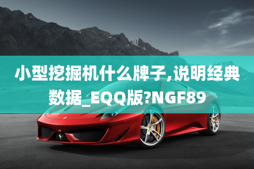 小型挖掘机什么牌子,说明经典数据_EQQ版?NGF89