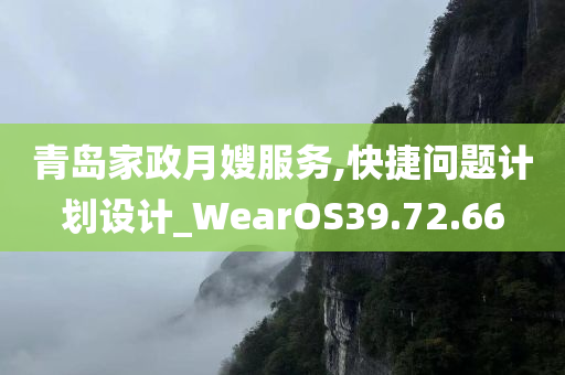 青岛家政月嫂服务,快捷问题计划设计_WearOS39.72.66