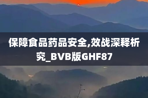 保障食品药品安全,效战深释析究_BVB版GHF87