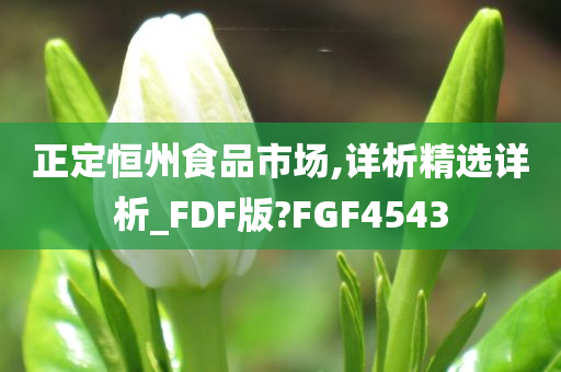 正定恒州食品市场,详析精选详析_FDF版?FGF4543