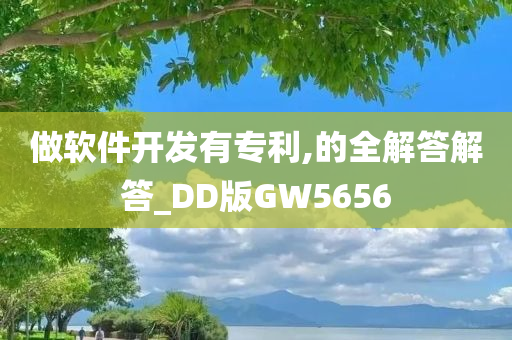 做软件开发有专利,的全解答解答_DD版GW5656