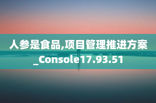 人参是食品,项目管理推进方案_Console17.93.51