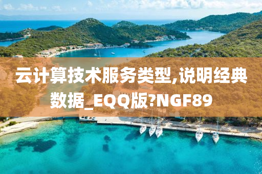 云计算技术服务类型,说明经典数据_EQQ版?NGF89