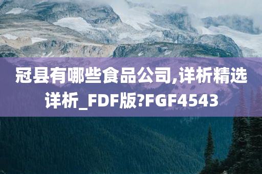 冠县有哪些食品公司,详析精选详析_FDF版?FGF4543