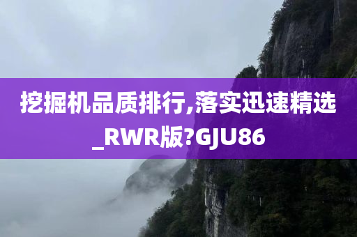 挖掘机品质排行,落实迅速精选_RWR版?GJU86