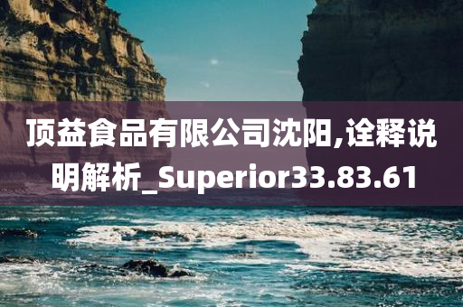 顶益食品有限公司沈阳,诠释说明解析_Superior33.83.61