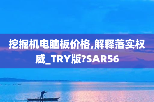 挖掘机电脑板价格,解释落实权威_TRY版?SAR56