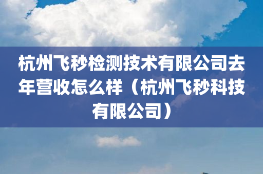 杭州飞秒检测技术有限公司去年营收怎么样（杭州飞秒科技有限公司）