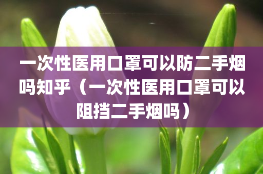 一次性医用口罩可以防二手烟吗知乎（一次性医用口罩可以阻挡二手烟吗）