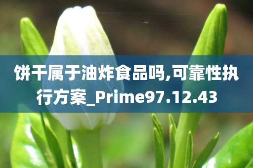 饼干属于油炸食品吗,可靠性执行方案_Prime97.12.43