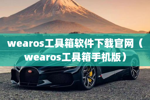 wearos工具箱软件下载官网（wearos工具箱手机版）