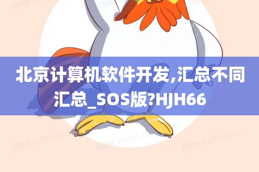 北京计算机软件开发,汇总不同汇总_SOS版?HJH66