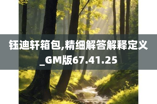 钰迪轩箱包,精细解答解释定义_GM版67.41.25