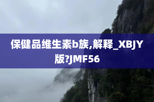 保健品维生素b族,解释_XBJY版?JMF56