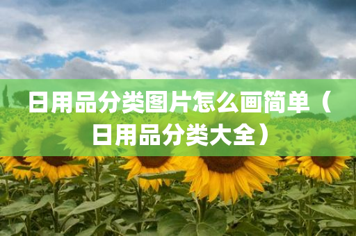 日用品分类图片怎么画简单（日用品分类大全）