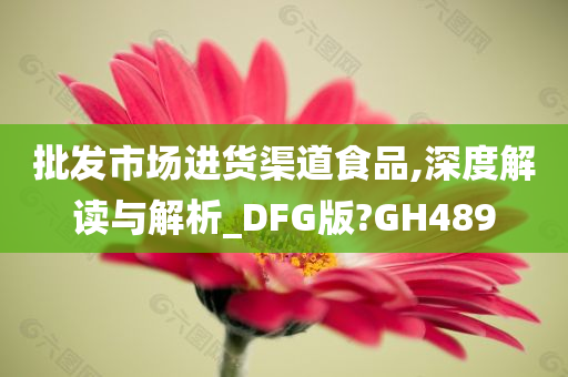 批发市场进货渠道食品,深度解读与解析_DFG版?GH489