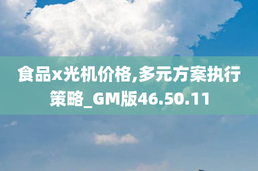 食品x光机价格,多元方案执行策略_GM版46.50.11