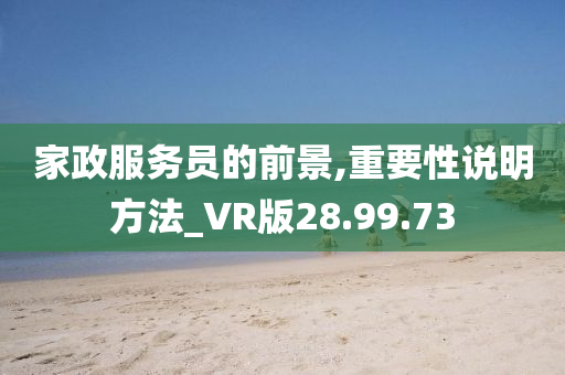 家政服务员的前景,重要性说明方法_VR版28.99.73