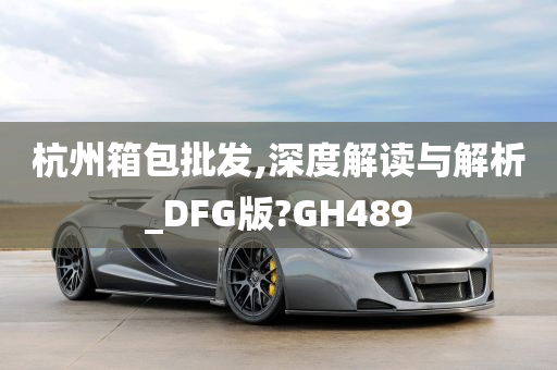 杭州箱包批发,深度解读与解析_DFG版?GH489