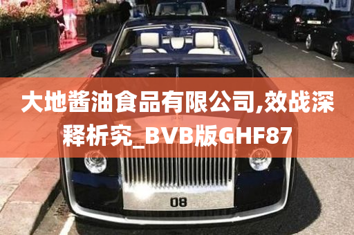 大地酱油食品有限公司,效战深释析究_BVB版GHF87