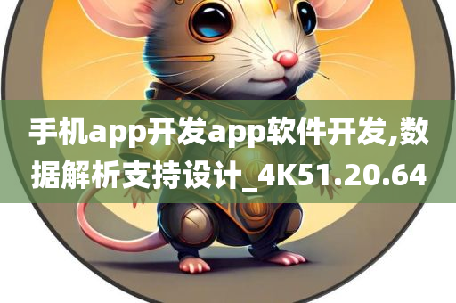 手机app开发app软件开发,数据解析支持设计_4K51.20.64