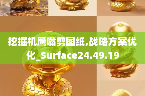 挖掘机鹰嘴剪图纸,战略方案优化_Surface24.49.19