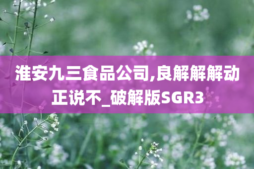 淮安九三食品公司,良解解解动正说不_破解版SGR3