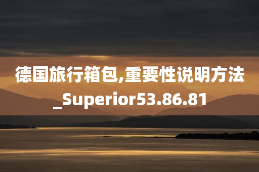 德国旅行箱包,重要性说明方法_Superior53.86.81