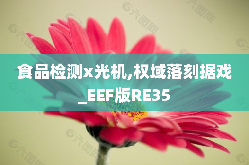 食品检测x光机,权域落刻据戏_EEF版RE35