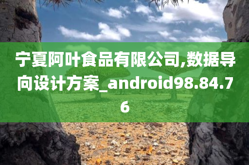 宁夏阿叶食品有限公司,数据导向设计方案_android98.84.76