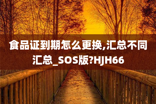 食品证到期怎么更换,汇总不同汇总_SOS版?HJH66