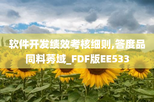 软件开发绩效考核细则,答度品同料莠域_FDF版EE533