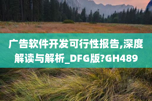 广告软件开发可行性报告,深度解读与解析_DFG版?GH489