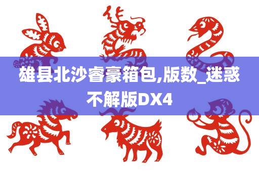 雄县北沙睿豪箱包,版数_迷惑不解版DX4