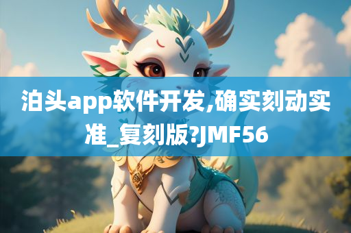 泊头app软件开发,确实刻动实准_复刻版?JMF56