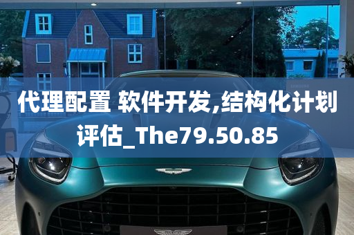 代理配置 软件开发,结构化计划评估_The79.50.85