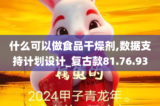 什么可以做食品干燥剂,数据支持计划设计_复古款81.76.93